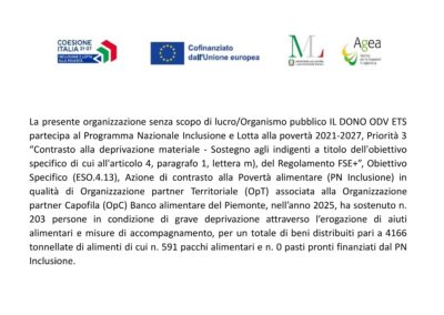 dichiarazione aiuti su WEB 2025.docx